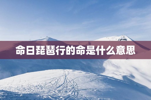 命日琵琶行的命是什么意思