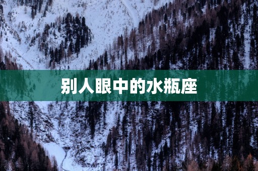 别人眼中的水瓶座