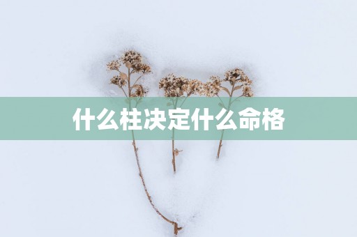 什么柱决定什么命格