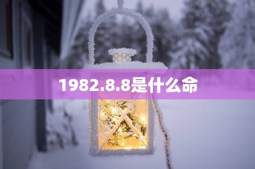 1982.8.8是什么命