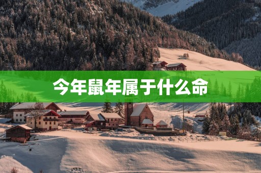 今年蛇年属于什么命