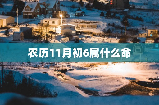 农历11月初6属什么命