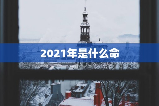 2025年是什么命 2025年是什么命