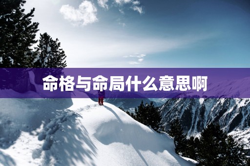 命格与命局什么意思啊