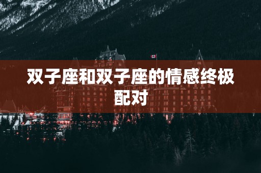 双子座和双子座的情感终极配对