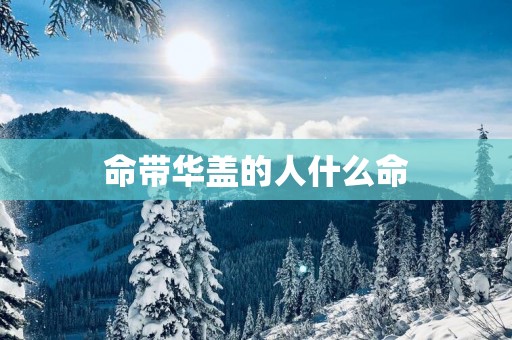 命带华盖的人什么命
