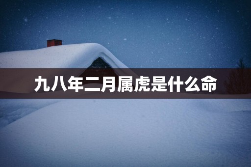 九八年二月属虎是什么命