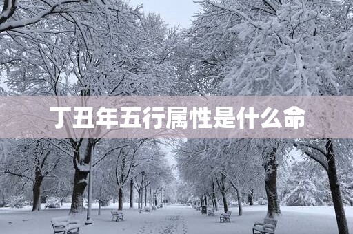 丁丑年五行属性是什么命