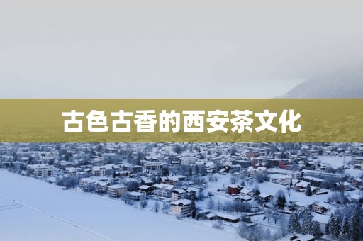 古色古香的西安茶文化