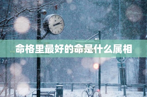 命格里最好的命是什么属相