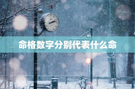 命格数字分别代表什么命