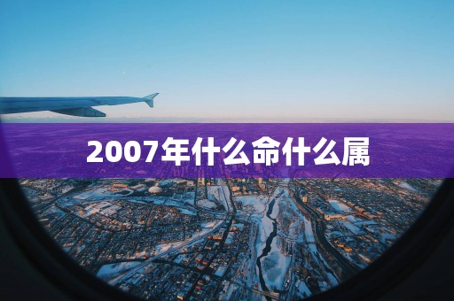 2007年什么命什么属