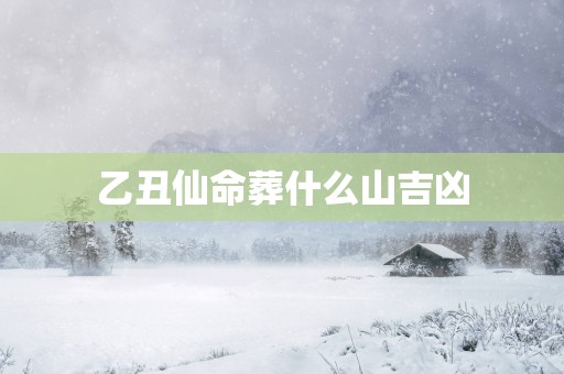 乙丑仙命葬什么山吉凶