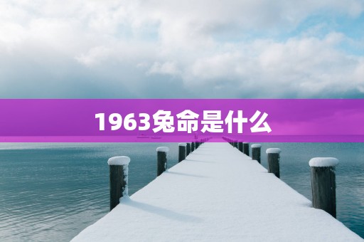 1963兔命是什么