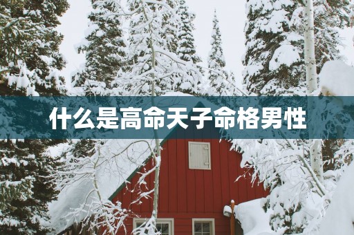 什么是高命天子命格男性