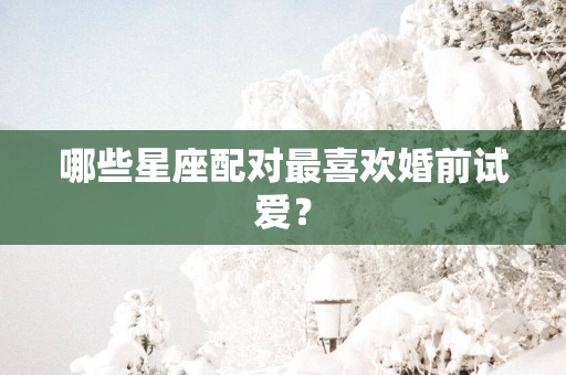 哪些星座配对最喜欢婚前试爱？