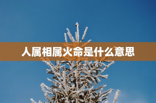 人属相属火命是什么意思
