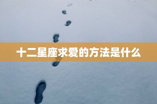 十二星座求爱的方法是什么