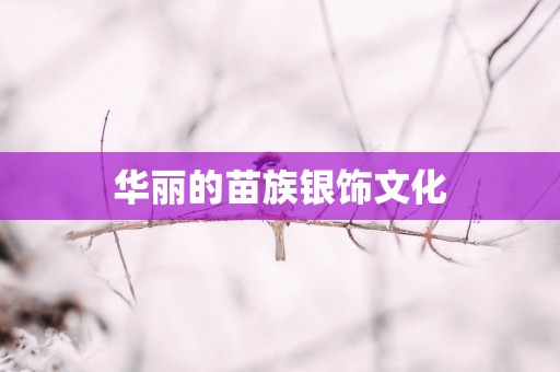 华丽的苗族银饰文化