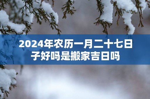 2025年农历一月二十七日子好吗是搬家吉日吗