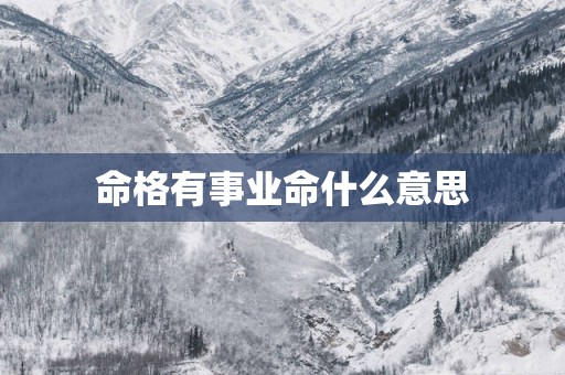 命格有事业命什么意思