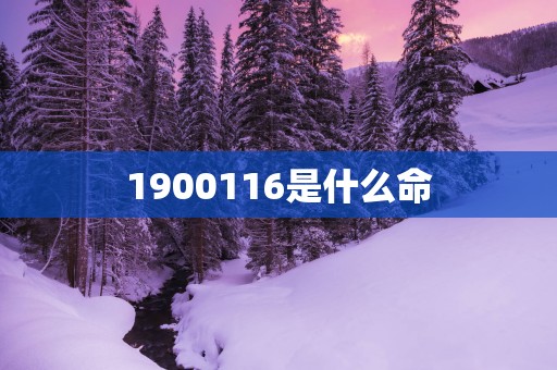 1900116是什么命