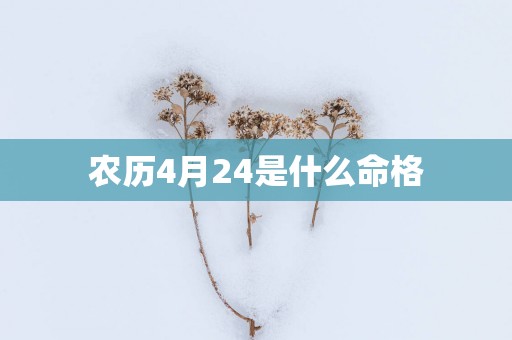 农历4月24是什么命格