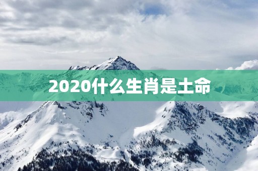 2025什么生肖是土命