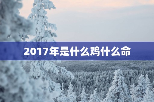 2017年是什么鸡什么命
