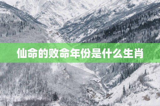 仙命的败命年份是什么生肖