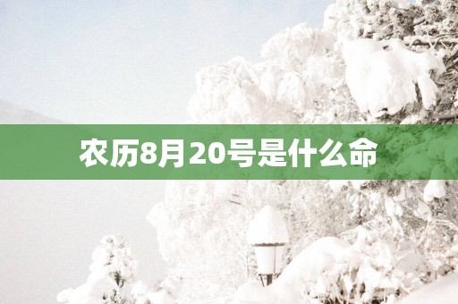 农历8月20号是什么命