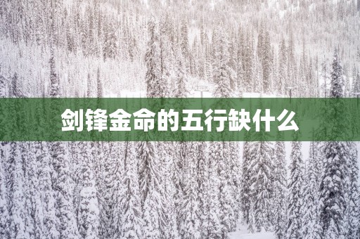 剑锋金命的五行缺什么