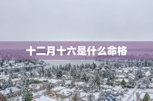 十二月十六是什么命格
