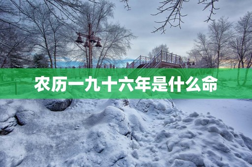 农历一九十六年是什么命