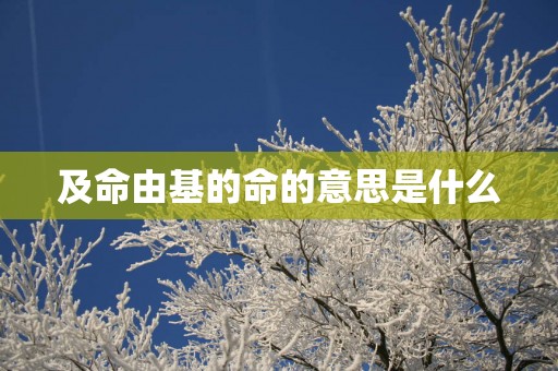 及命由基的命的意思是什么