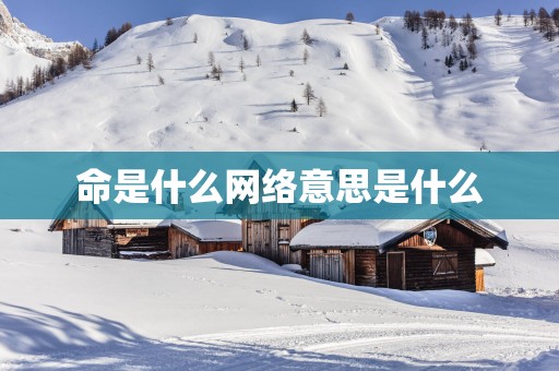 命是什么网络意思是什么