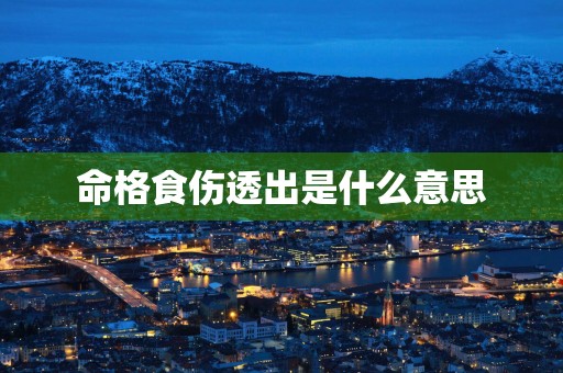 命格食伤透出是什么意思