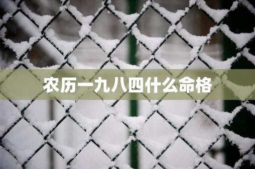 农历一九八四什么命格