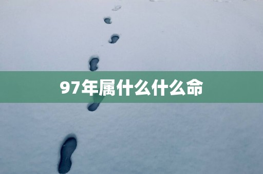 97年属什么什么命 97年属什么什么命