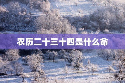 农历二十三十四是什么命