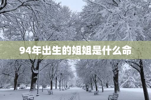 94年出生的姐姐是什么命