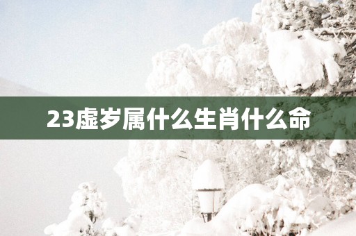 23虚岁属什么生肖什么命