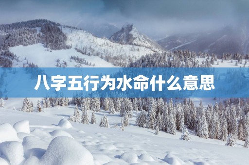 八字五行为水命什么意思