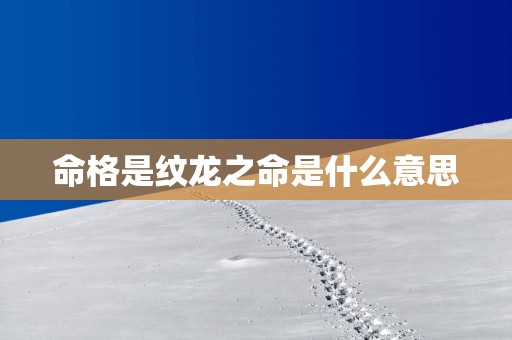 命格是纹龙之命是什么意思