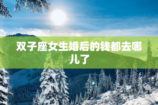 双子座女生婚后的钱都去哪儿了