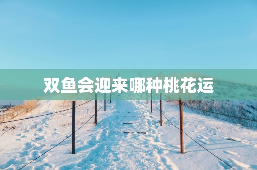 双鱼会迎来哪种桃花运
