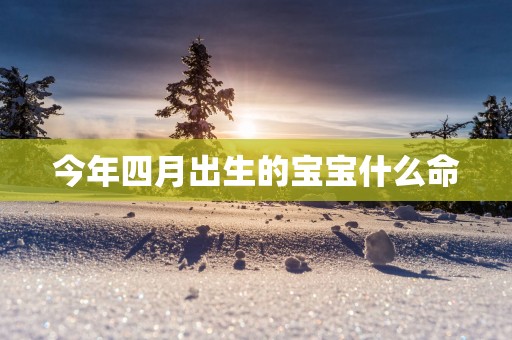 今年四月出生的宝宝什么命