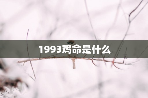 1993鸡命是什么