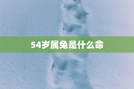 54岁属兔是什么命