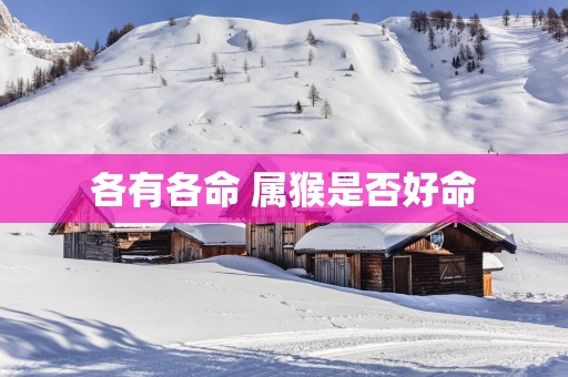 各有各命 属猴是否好命